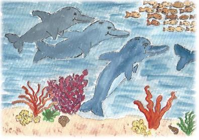 Delphin